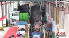 广西柳城县“甜蜜事业”开榨